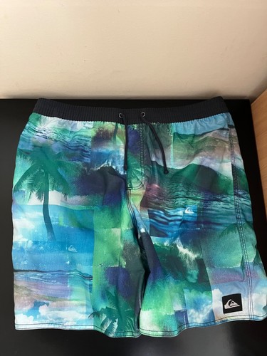Quiksilver shorts mens large - quiksilver,