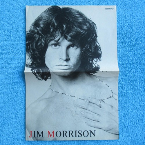 Jim morrison the doors poster - the,