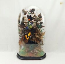 Victorian Glass Domed Display