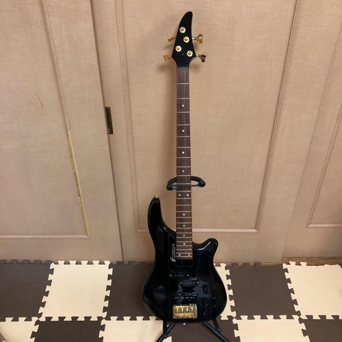 Electric bass guitar - electric,