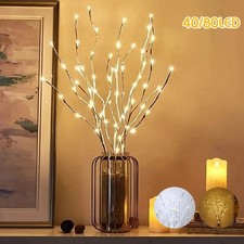 40/80 LED Willow Lights Branch