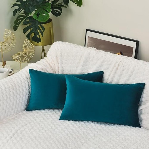 Velvet cushion covers - cushion,