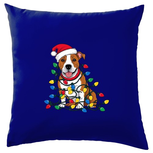 Staffordshire bull terrier - bull,