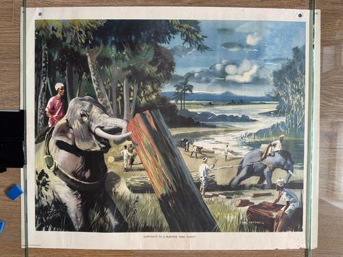 Macmillan school poster 85 - school,