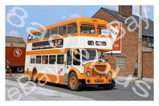 Bus Photograph SELNEC Northern