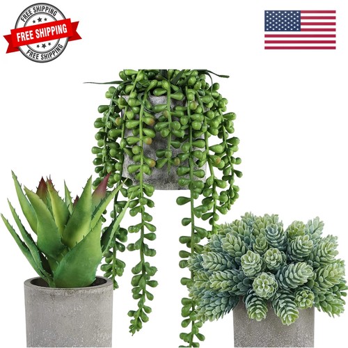 Set mini potted - set, 3
