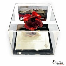 Tower Of London Ceramic Poppy Display Cases