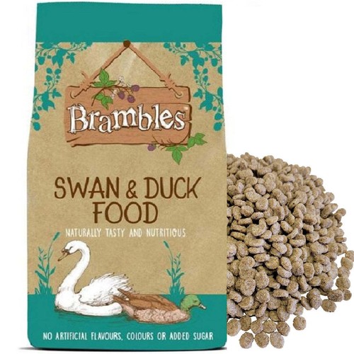 Brambles swan duck - brambles, &