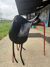 Albion Black SLK Dressage