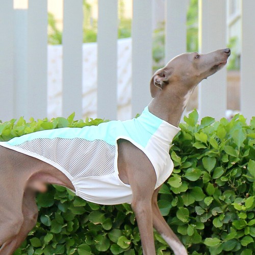 Summer mesh ice silk sunscreen - mesh,