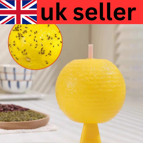 Fruit fly balls - fly,