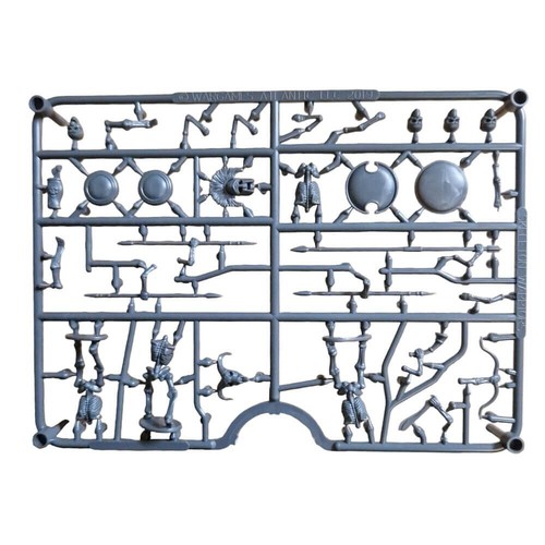 28mm skeleton warriors sprue - warriors,