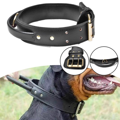 Heavy duty dog collar with - duty,