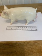 Three Beswick Rare Breed Pigs