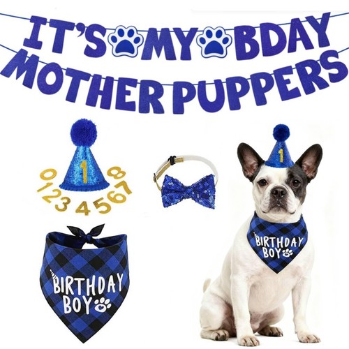 Dog birthday decorations - birthday,
