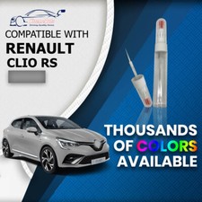 Renault Clio 200 220T Raider RS QNR GIVRE NACRE MAT NEEDLE Paint