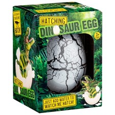 Kids Dinosaur Hatching egg