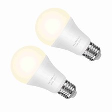 »LED Neon Light Bulb Power