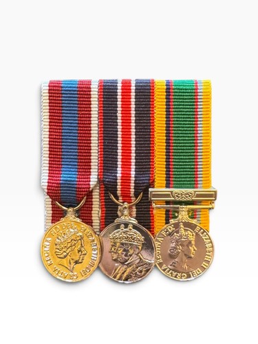 Court mounted miniature medal - mounted,