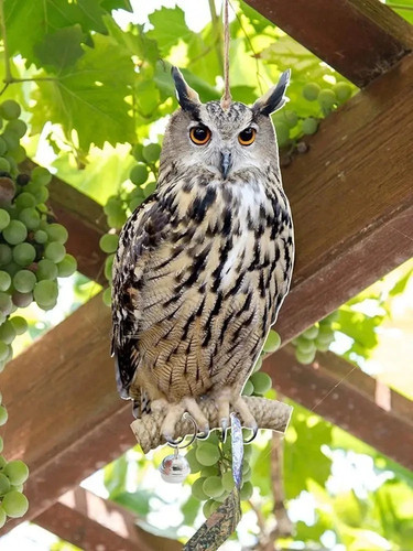 Owl decoy bird deterrent - owl,