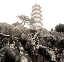 C.1950 READ! TIGER BALM