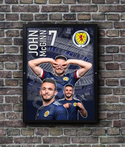 John mcginn scotland player - mcginn,