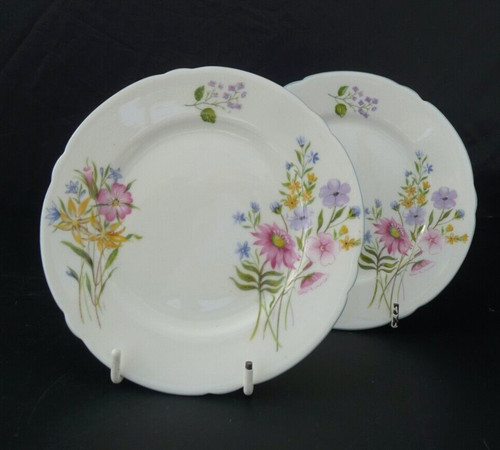Shelley wild flowers tea - shelley,