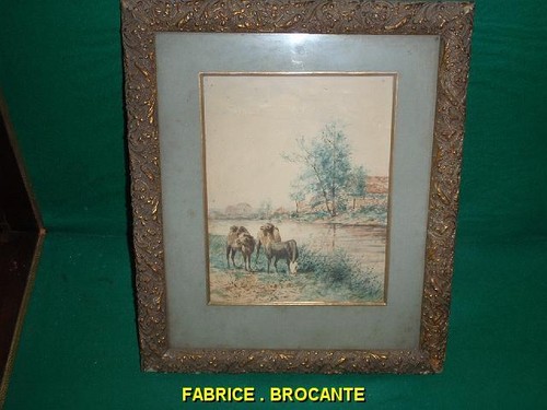 Watercolor painting dromedary - watercolor,