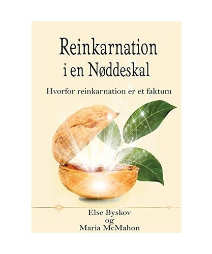 Reinkarnation nøddeskal - reinkarnation,