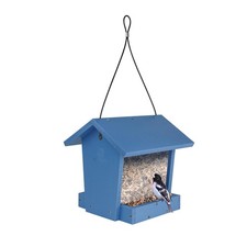 Bird banquet recycled plastic - recycled,