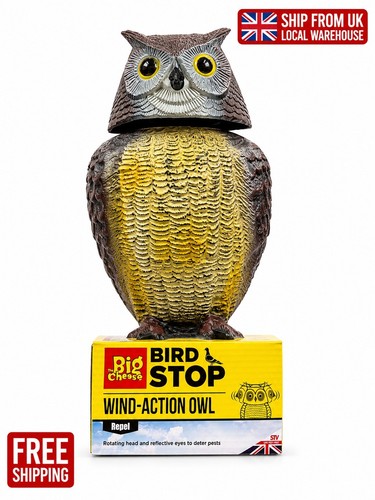 Big cheese wind action - cheese,