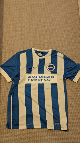 Brighton and hove albion - hove,