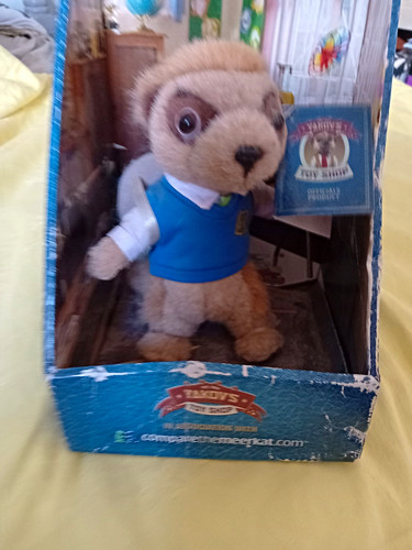 Compare the meerkat bogdan - compare,
