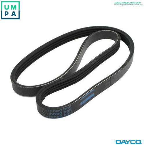Vribbed belt 6dpk1195 for - 6dpk1195,