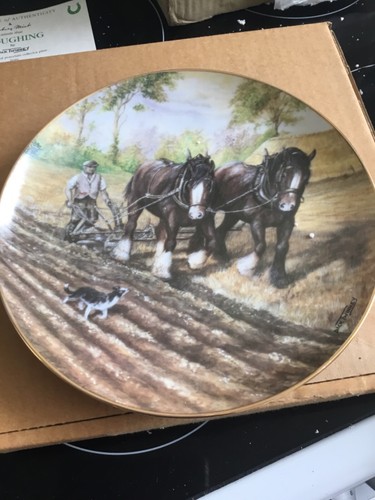 Danbury mint magnificent - danbury,