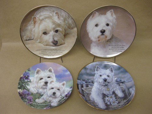 West highland terrier - west,