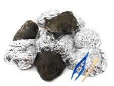 Premium Barn Owl Pellets