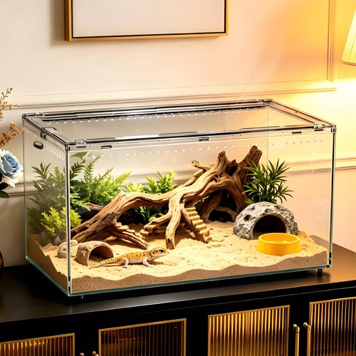 Gecko habitat box - box, transparent