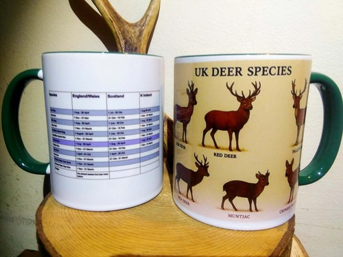Deer stalking mug hunting - deer,
