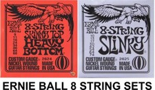 Ernie Ball 8 String Slinky