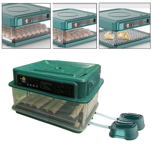 Automatic egg incubator - egg,