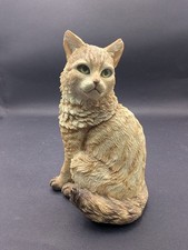 Country Artists Beige Tabby