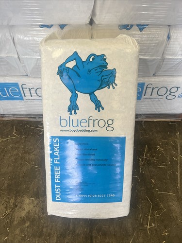 Equine blue frog - blue, shavings