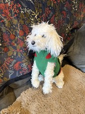 Reborn Poodle Plush Dog