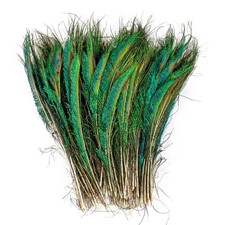 10PCS Real Peacock Feather