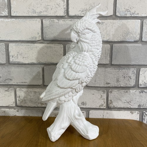 Paint your own - , cockatoo