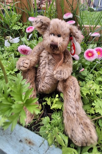 Birch pot bellied bear - bellied, ty