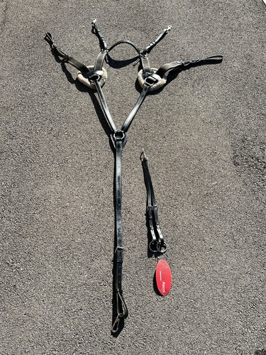 Ascot point breastplate - ascot,