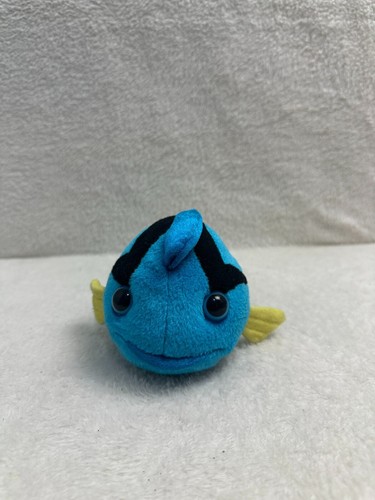 Zsl small blue tang - zsl,