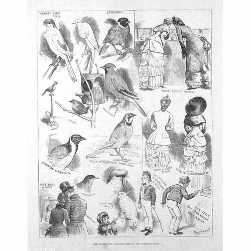 Crystal palace the canary - crystal, and